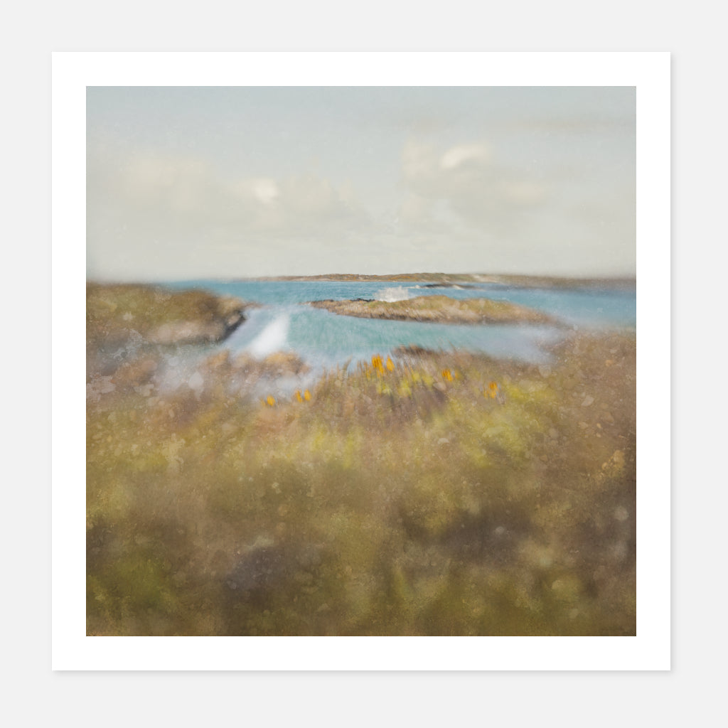 Behind the Gorse