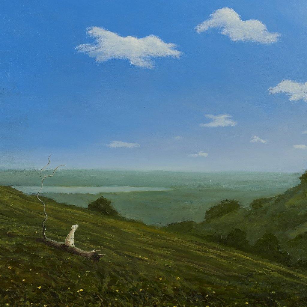 Robert Ryan - Cloud Counting - Fierce Nice