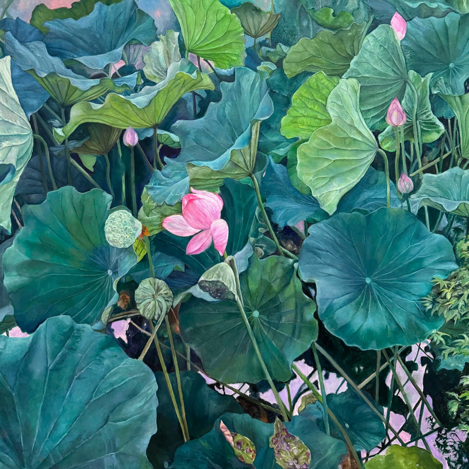 Schrödinger's Lonely Lotus