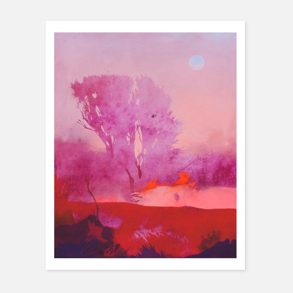 Pinky Foggy