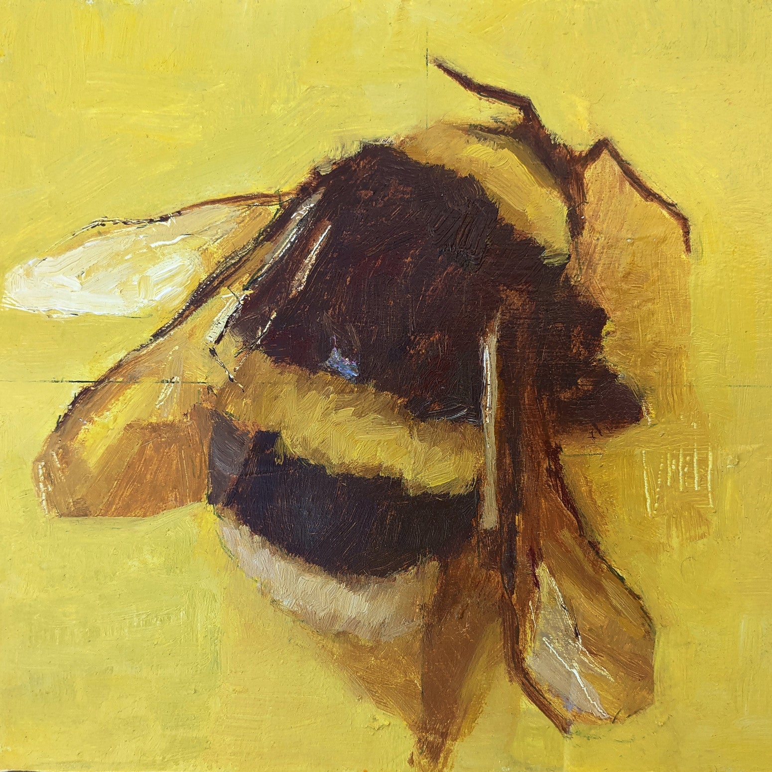 Bombus