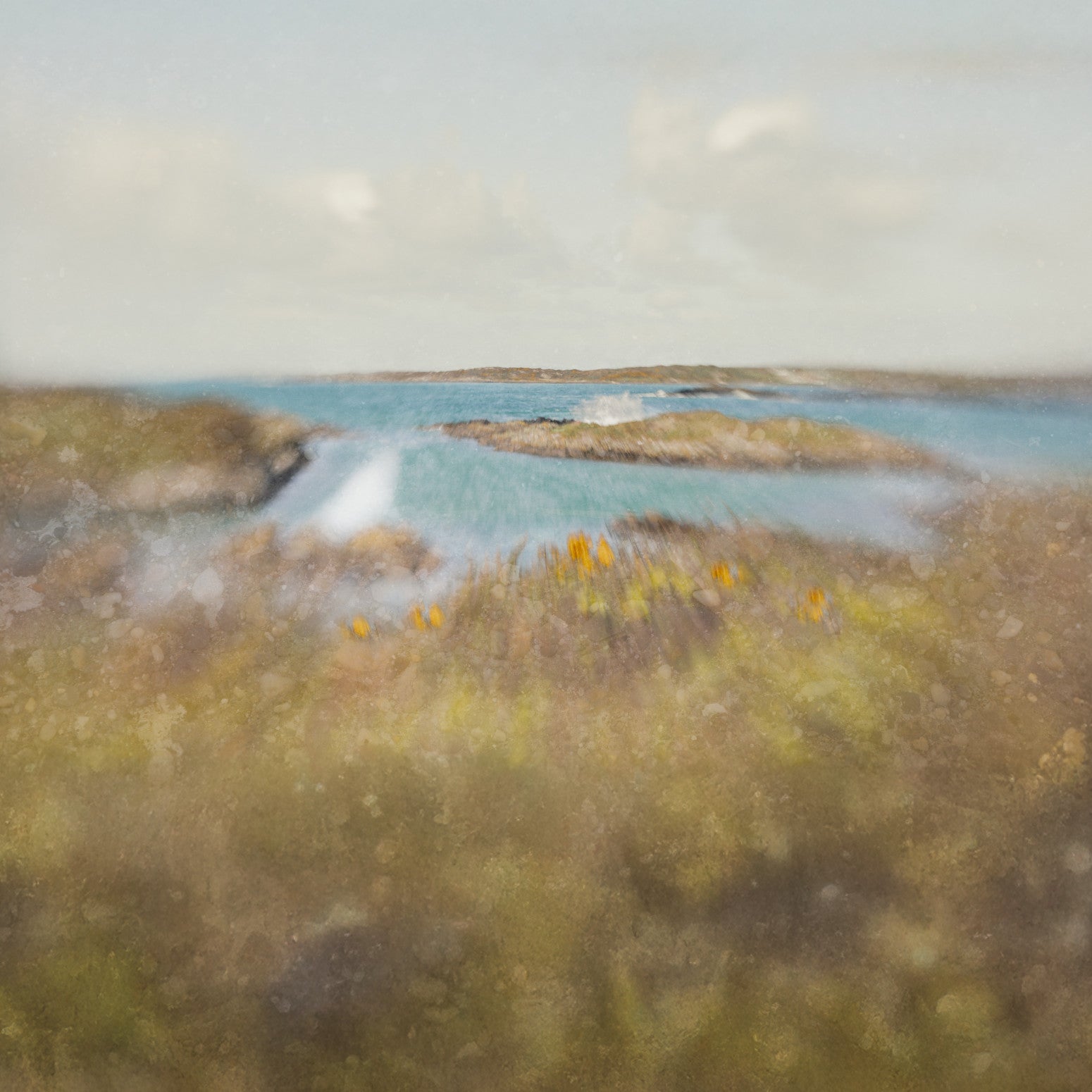 Behind the Gorse