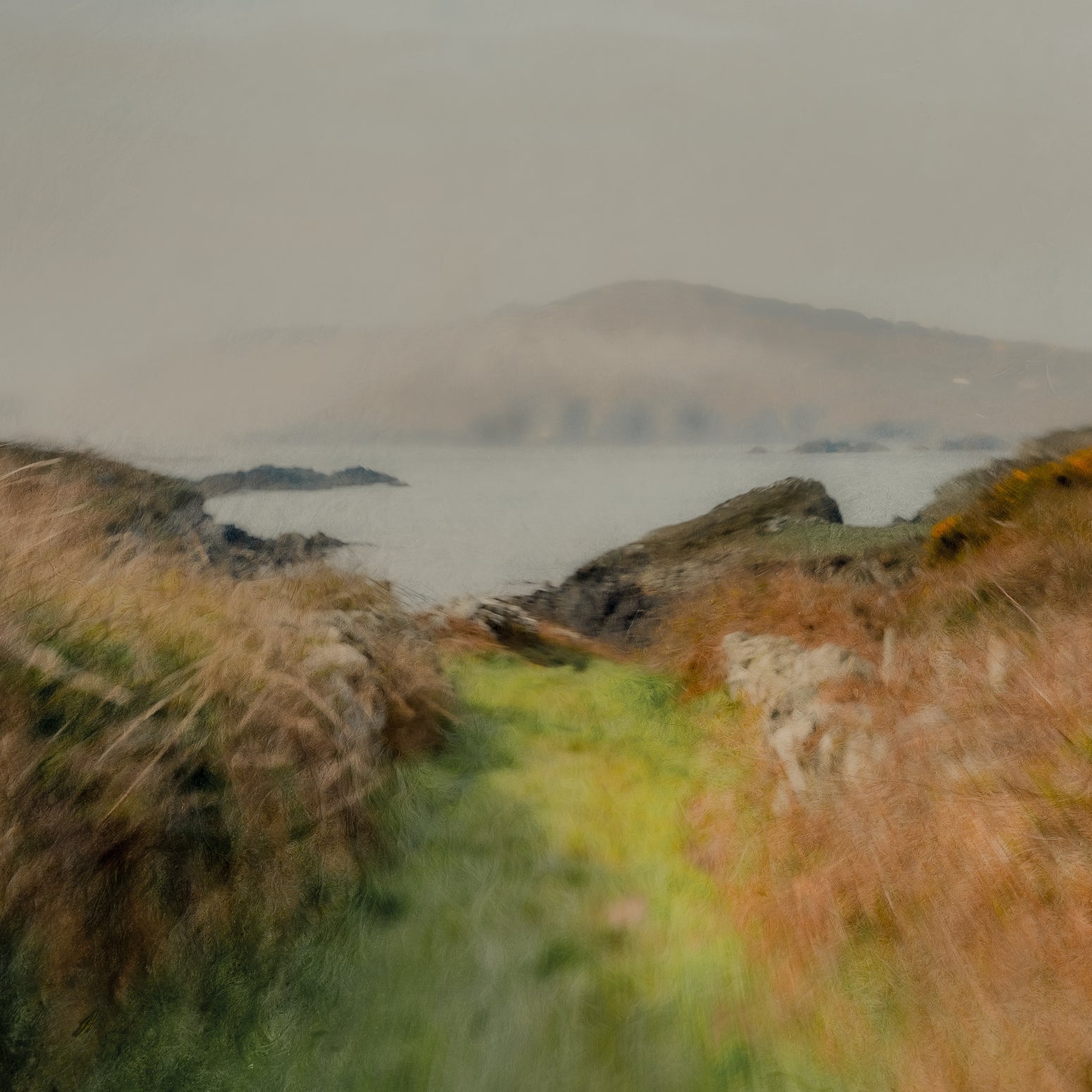 Island Fog