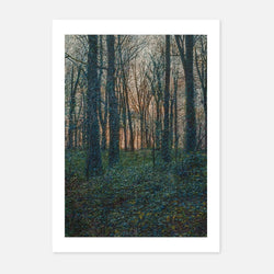 Jonathan Dickson - Embers of a Day That Lights No Path - Fierce Nice