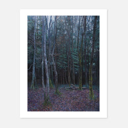Jonathan Dickson - Where Did You Sleep Last Night - Fierce Nice