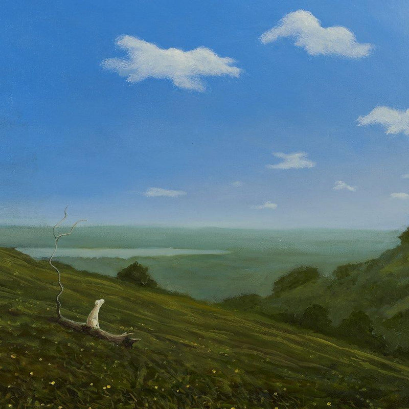 Robert Ryan - Cloud Counting - Fierce Nice